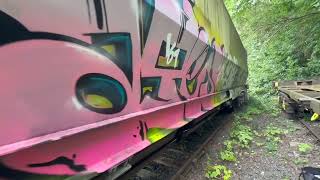 Freight Train Graffiti 2 [upl. by Llecrup48]