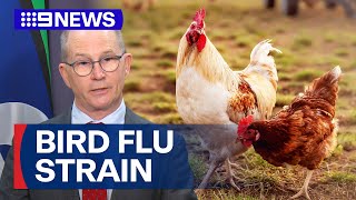 New strain of deadly bird flu likely to land in Australia  9 News Australia [upl. by Efioa]