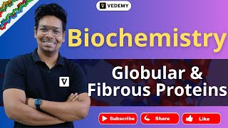 Globular amp Fibrous Proteins  Biochemistry  By Virendra Singh  CSIR  GATE  DBT  ICMR  CUET [upl. by Llenaj176]