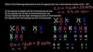 2N 1N N  Diploid Haploid  Chromosome number [upl. by Goodwin]