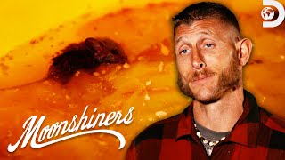 When Moonshine Batches Go Wrong  Moonshiners  Discovery [upl. by Adnolay]