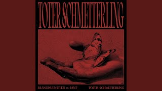 Toter Schmetterling [upl. by Zoila]