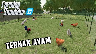 AKU BIKIN PETERNAKAN AYAM  Farming Simulator 22 Indonesia 2 [upl. by Christi]