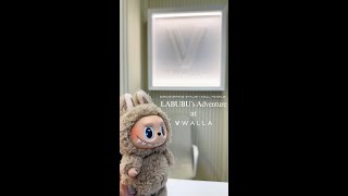 Labubu Visits Our Showroom  Vwalla [upl. by Erhart]