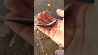 OMG Saved Fish life from inside Jellyfish 😱 [upl. by Aicirtan]