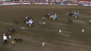 PONOKA STAMPEDE 2024 Day 1 [upl. by Noterb]