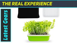 reviewSeed Sprouter Tray Bean Sprout Grower Kit for Home Garden  Grow the Best Bean Sprouts [upl. by Turmel283]