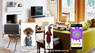 EE Meerkat Movies 2024UK [upl. by Bendite162]