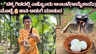 🌱ಚಿಕ್ಕ ಗಿಡದಲ್ಲಿ ಎಷ್ಟೊಂದು ಅಂಬಟೆಅಮ್ಟೆಕಾಯಿಮೊಟ್ಟೆ🥚ಹಾಕಿ ಅಡುಗೆ ಮಾಡುವEgg recipeKannada recipe [upl. by Salem219]