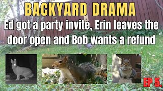 ep5 More drama unfolding as Erin leaves the door open funnyanimals trailcam backyardanimals [upl. by Cassandra]