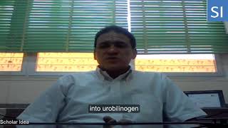 Urobilinogen in urine explained [upl. by Amadas]