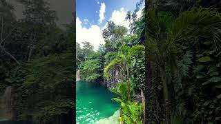 Cenote Atik tulumvibes travel tulumbeach [upl. by Aliuqaj]