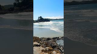 Strolling at the tofino Chesterman Beach  vancouverisland 🇨🇦 [upl. by Millar]