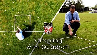 Sampling with Quadrats  GCSE Biology Required Practical [upl. by Leffert]