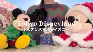 1人クリスマスディズニーランド2024🐭🎄💫朝から夜までクリスマスづくしの1日🎅【Disney Vlog】 [upl. by Mallissa]