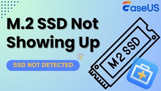 M2 SSD Not Showing Up or Detected in Windows 1110 Fixed Now [upl. by Ardnauq]