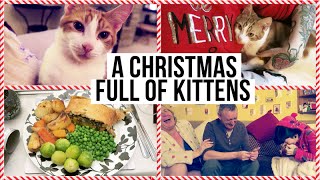 A CHRISTMAS FULL OF KITTENS • Christmas Eve amp Day Vlog [upl. by Sanford]