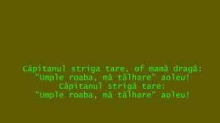 Sa votat Codu Penal  Valeriu Sterian [upl. by Lamej]