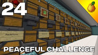 Peaceful Challenge 24 New Main Storage [upl. by Ardnoid459]