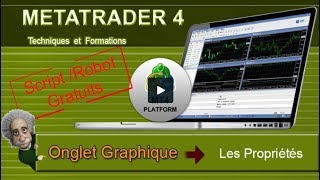 MT4 Download France  Plateforme quotLes propriétésquot [upl. by Weirick]