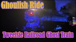 Tweetsie Ghost Train 2024 Full Train Ride [upl. by Tertias]