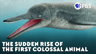 The Sudden Rise of the First Colossal Animal [upl. by Niletac301]