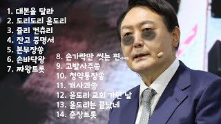 30만뷰윤도리윤석열 대본을 달라 2분 침묵 풍자쏭 14곡 모음 출퇴근 감상용 ㅋ [upl. by Fontes843]