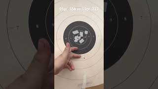 556 vs 223 bullet drop at 75 yards Both 55gr shot from same gun [upl. by Notsreik290]