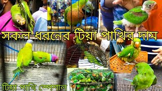 টিয়া পাখির দাম  Ringneck Parrot Price In Bangladesh  Tia pakhir dam [upl. by Mayce]