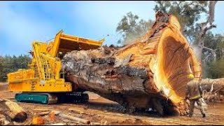 Great wood chipper in action Extremely fast and powerful wood chipper [upl. by Algie]