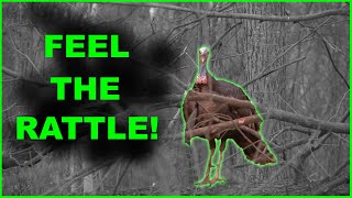 EARTH SHAKING GOBBLING ACTION  IN YOUR FACE  GREAT TURKEY AUDIO [upl. by Redneval]