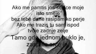 Milan Stankovic  Perje 2011 tekst [upl. by Ayat]