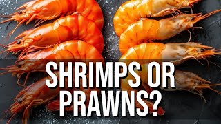 What Separates Shrimp From Prawns [upl. by Gwenn297]