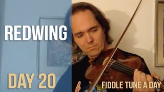 Redwing  Fiddle Tune a Day  Day 20 [upl. by Estis893]