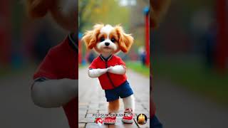 Cute dog dances the third subject dance in the morningdog dog dancing video dog dancing cutedog [upl. by Neehahs764]