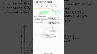 PHOTOSYNTHESIS  Biology Science Revision gcse exams aqa ocr edexcel practical limitingfactor [upl. by Shifrah]