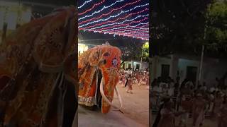 The elephants in Kandy festival 😍♥️ elephants subscribe shortvideo trendingshorts viralshorts [upl. by Leatri833]