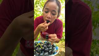 Sarapan buah jamblang fruit [upl. by Hanschen159]