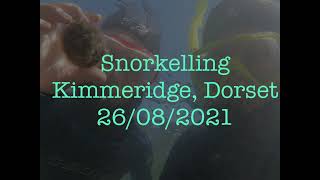 Snorkelling Kimmeridge Bay August 2021  best snorkel spot in Dorset [upl. by Wachter288]