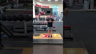 Barbell Reverse Curl [upl. by Eenattirb]