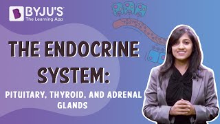 The Endocrine System  Pituitary Thyroid And Adrenal Glands  Class 10  Learn With BYJUS [upl. by Eruot]