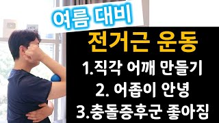 날개뼈위치 교정 전거근운동 어깨충돌증후군 직각어깨 견갑프레임 [upl. by Allehs]