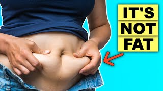 How To Get Rid of Your Lower Belly Pooch PERMANENTLY [upl. by Bum233]