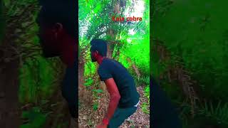 C Chandan Chanchal song Kala cobratrending bhojpuri nice bhojpurimusic dance viralsong [upl. by Jill]