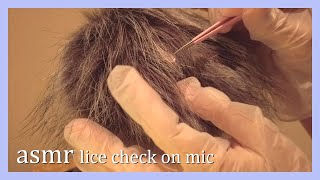 ASMR Gem Lice Check On Fluffy MIC 💎  No Talking  Brushing and more [upl. by Euqinmod]