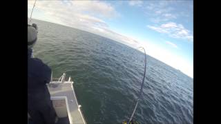 Reel People Reel Fishin  Whyalla Fishing Charters  Ozzys Snapper on Whiting Gear [upl. by Craven]