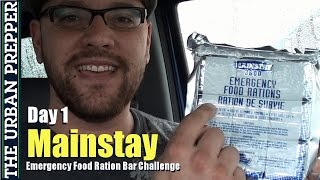 Mainstay 72 Hour Challenge Day 1 by TheUrbanPrepper [upl. by Cyprian790]