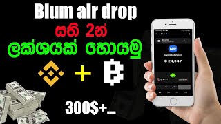 Blum airdrop sinhala  e money sinhala  sri lanka e money [upl. by Airlee958]