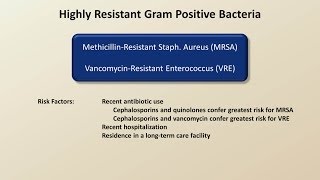 Antibiotics for Gram Positive Infections Antibiotics  Lecture 4 [upl. by Athiste]