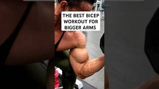 The best biceps exercise motivation gym aesthetic planetfitness biceps music halloween beats [upl. by Alvy431]